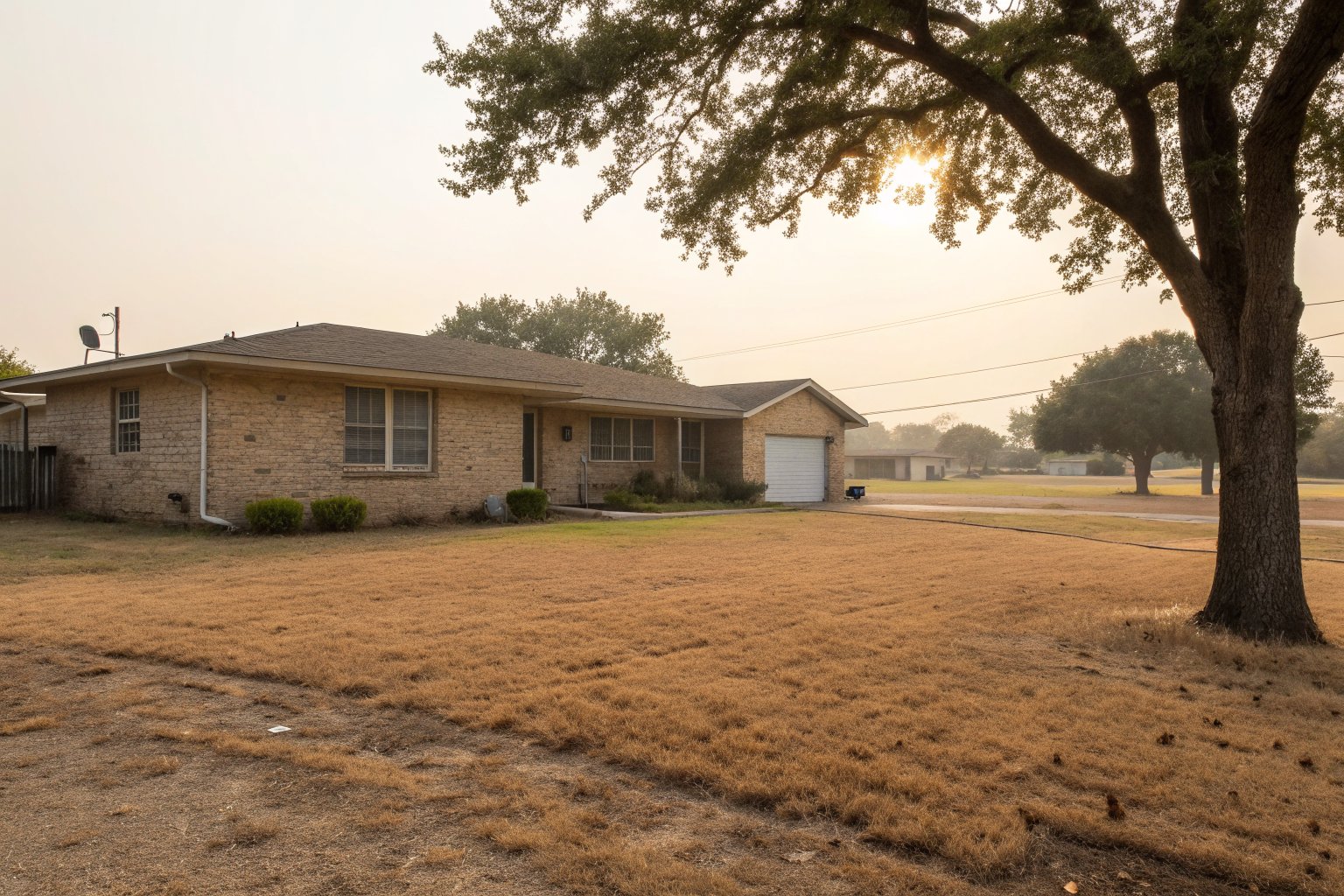 Patchy, heat-browned front lawn before a one-story tan brick ranch house, with an oak to one side